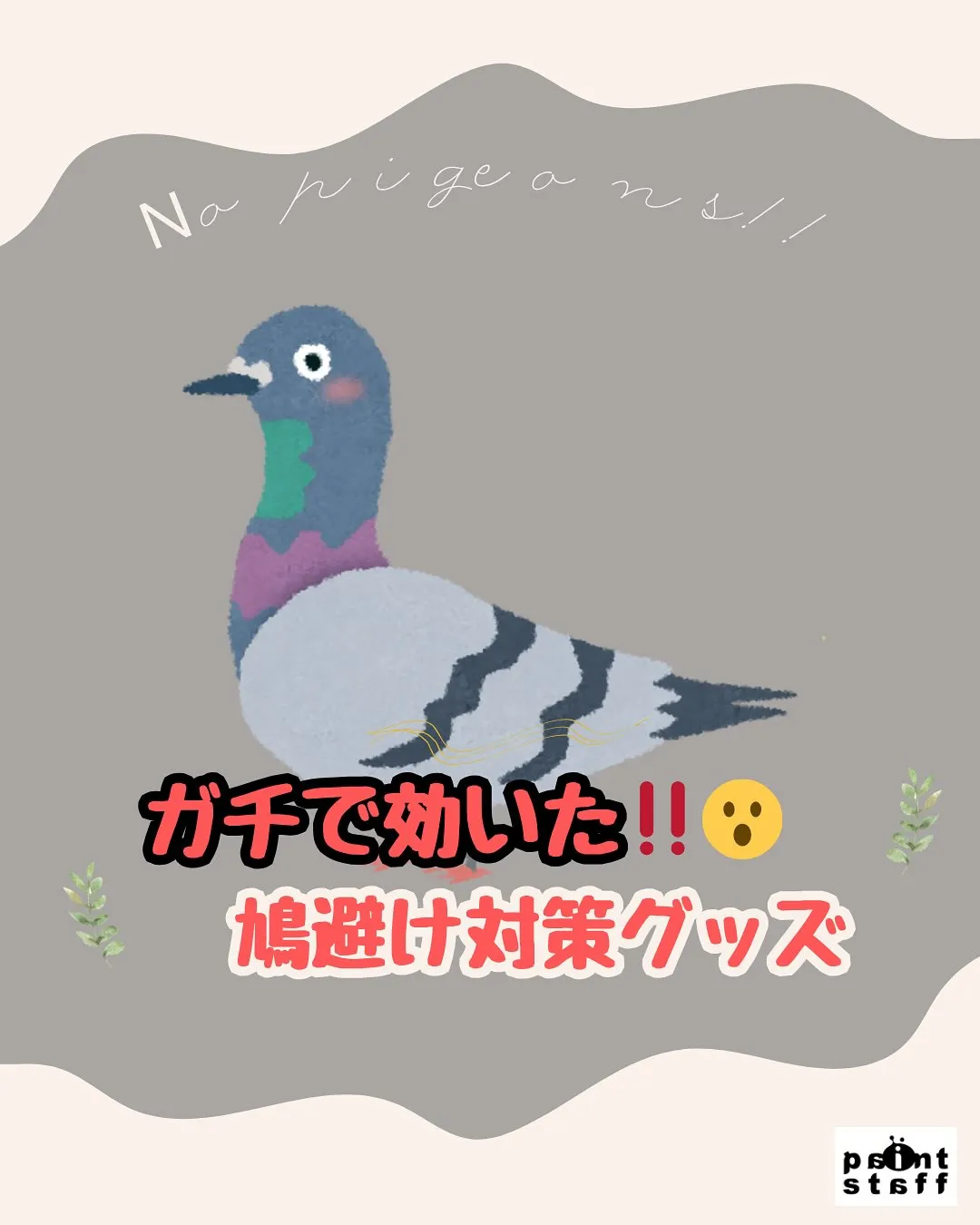 🕊️「またフンしてるーー!!」